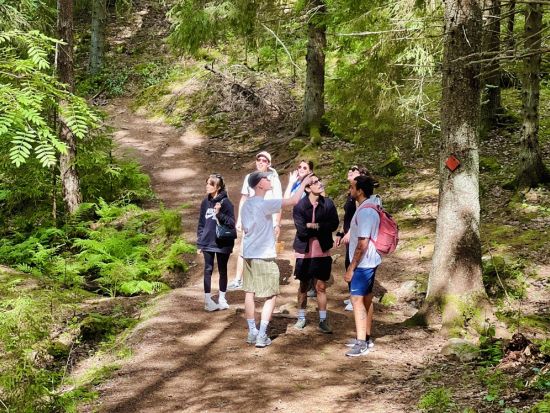 午後発！半日ヌークシオ国立公園散策ツアー　約3kmの初心者向けハイキングコース＜3～10月／約4時間／フィンランド式ランチ付き／英語ガイド／ヘルシンキ発＞