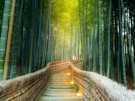 名古屋発 京都日帰りバスツアー 千本鳥居・嵐山・清水寺めぐり＆神戸牛または豚しゃぶしゃぶランチ付＜英語ガイド＞