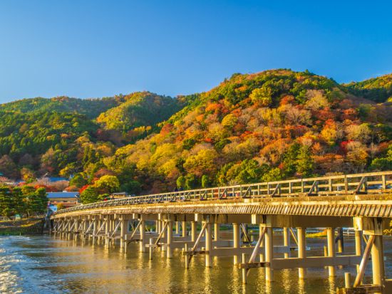 名古屋発 京都日帰りバスツアー 千本鳥居・嵐山・清水寺めぐり＆神戸牛または豚しゃぶしゃぶランチ付＜英語ガイド＞