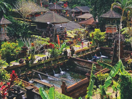 ウブド名所巡りツアー　 ウブド8景と呼ばれる、8カ所の人気スポットへご案内！＜昼食・夕食付き／日本語ガイド／シャトル乗り放題付き＞