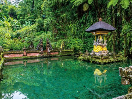 ウブド名所巡りツアー　 ウブド8景と呼ばれる、8カ所の人気スポットへご案内！＜昼食・夕食付き／日本語ガイド／シャトル乗り放題付き＞