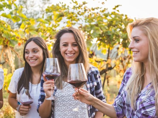 【ペルー・チリ・アルゼンチン周遊10日間】マチュピチュ＋ナスカ＋サンティアゴ＋ブエノスアイレス　南米3ヵ国を堪能！＜日本語ガイド／貸切／サンパウロ発着＞