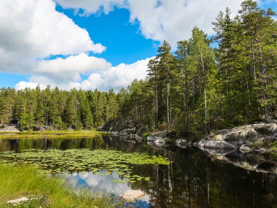 Finland_Helsinki_Nuuksio National Park_shutterstock_1171938982 (1) (1)
