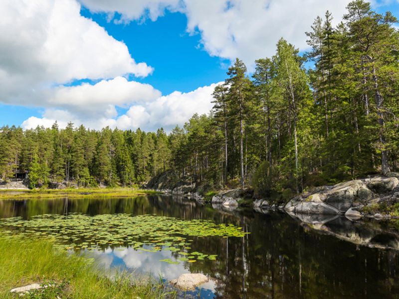 Finland_Helsinki_Nuuksio National Park_shutterstock_1171938982 (1) (1)