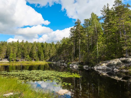 午後発！半日ヌークシオ国立公園散策ツアー　約3kmの初心者向けハイキングコース＜3～10月／約4時間／フィンランド式ランチ付き／英語ガイド／ヘルシンキ発＞