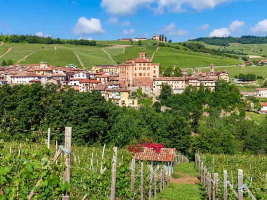 ミラノ発 日帰りワインツアー ランゲ＆ピエモンテの最高峰ワインを堪能！バローロ含む6種試飲　世界遺産ランゲ地方の絶景も満喫＜混載／英語ドライバー＞