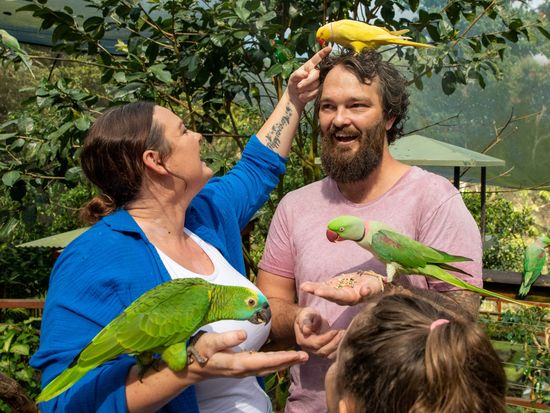 Birdworld-and-Koala-Gardens-4