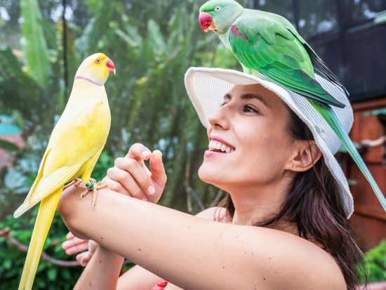 birdworld-social-media58