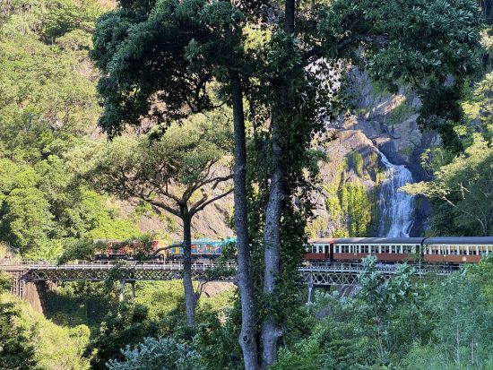グリーン島＆キュランダ1日ツアー　美しい海と熱帯雨林の2大世界遺産を満喫！シュノーケル体験＋スカイレール＆キュランダ鉄道にも乗車＜月水金／日本語／ケアンズ発＞