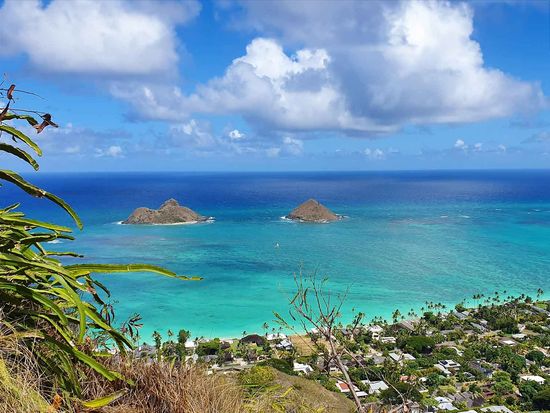 shutterstock_1704664183