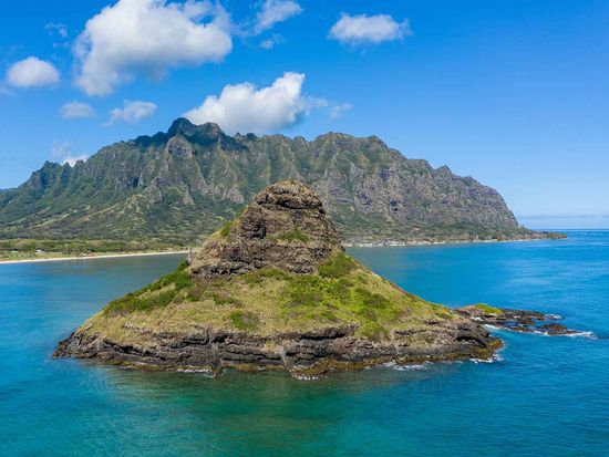 shutterstock_1635665899