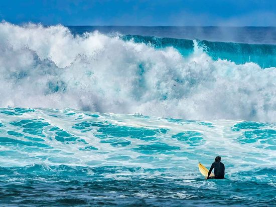 shutterstock_2374741881