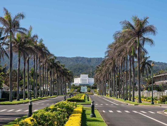 shutterstock_1641355147