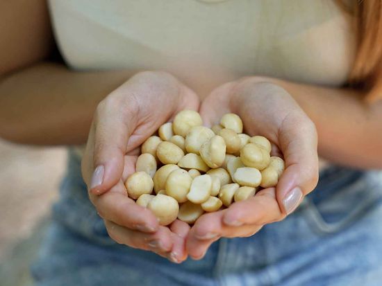 shutterstock_2406418271