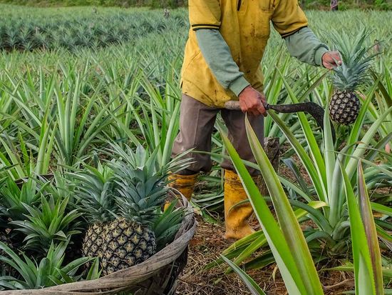 shutterstock_1668680719