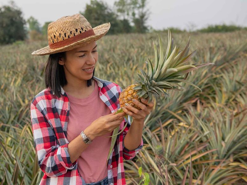 shutterstock_1991389676