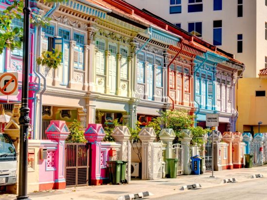 フォトジェニックスポット巡り＆ナイトサファリツアー　カトン地区＋アラブストリート＋ハジレーン＋マーライオン　夕食付きプランあり＜午後／日本語ガイド＞