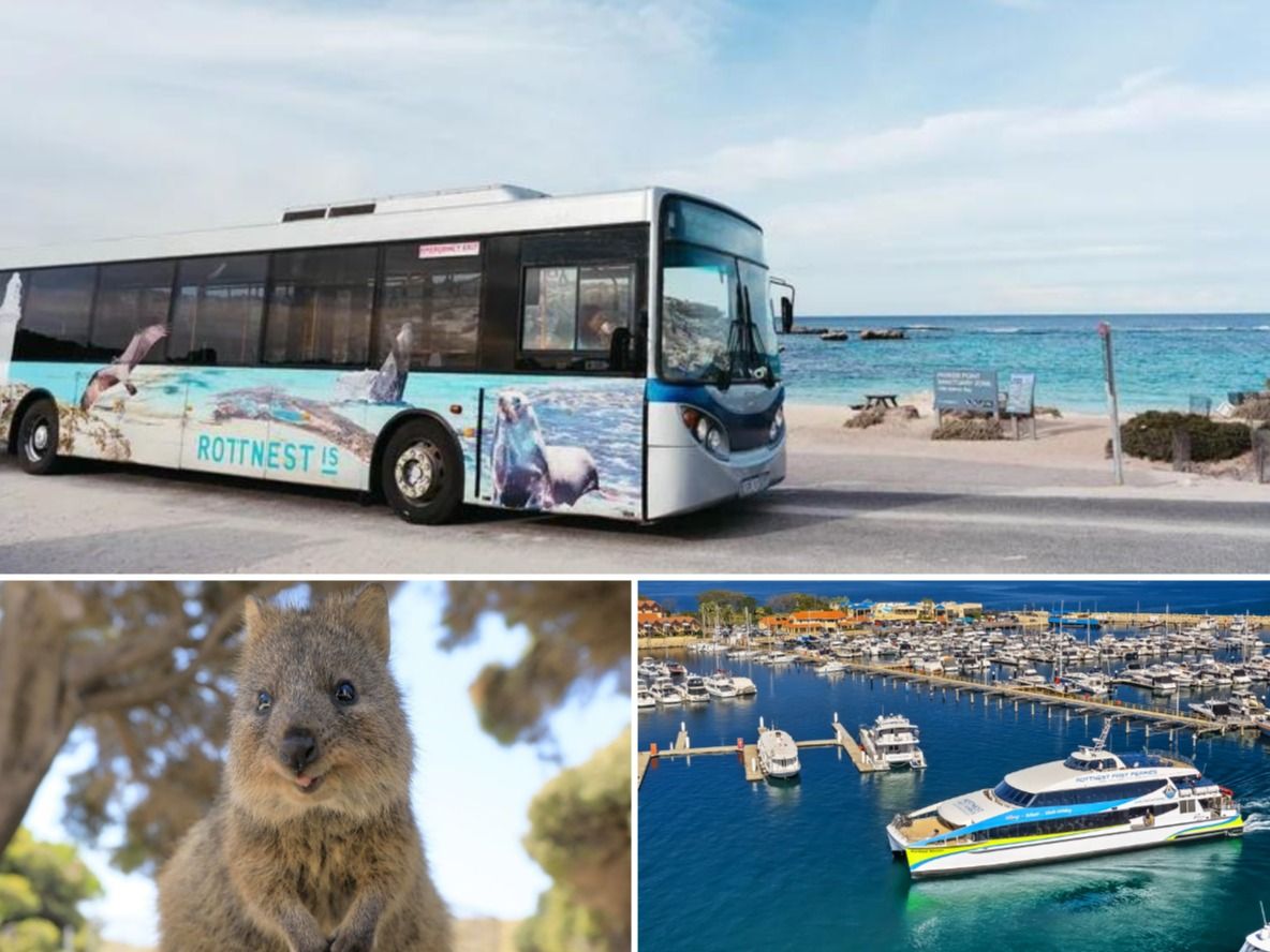 ロットネスト島「世界一幸せな動物」クオッカに出逢える自由散策＆島内