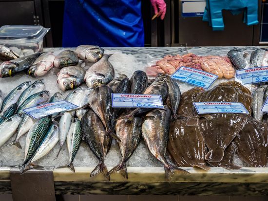 AdobeStock_757607693