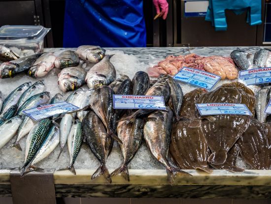 アラビダ半島 ワイナリーツアー ＜試飲付き／リスボン発＞