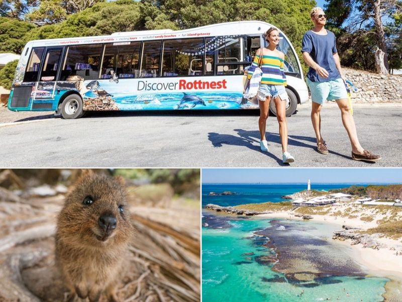 REX_Bus Tour_Collage.