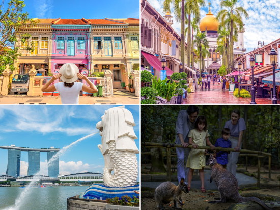 フォトジェニックスポット巡り＆ナイトサファリツアー　カトン地区＋アラブストリート＋ハジレーン＋マーライオン　夕食付きプランあり＜午後／日本語ガイド＞