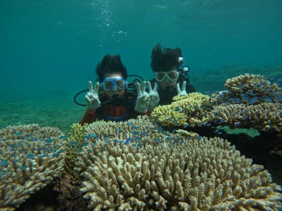 のんびり貸切体験ダイビング 家族や友人と楽しむ海中アドベンチャー！水中カメラレンタル可◎＜約2時間／貸切／本島中部 恩納村＞