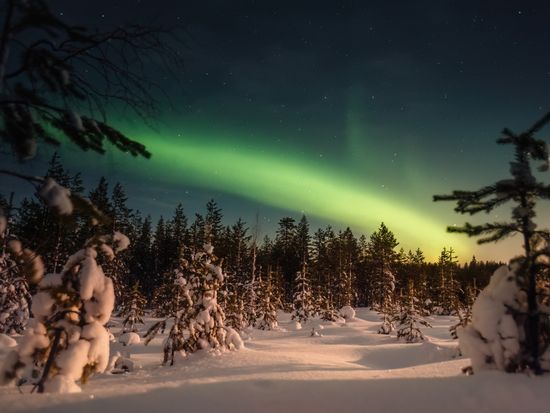 shutterstock_2516454279