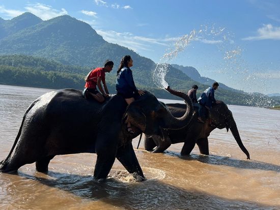 elephant-riding-1 (1)