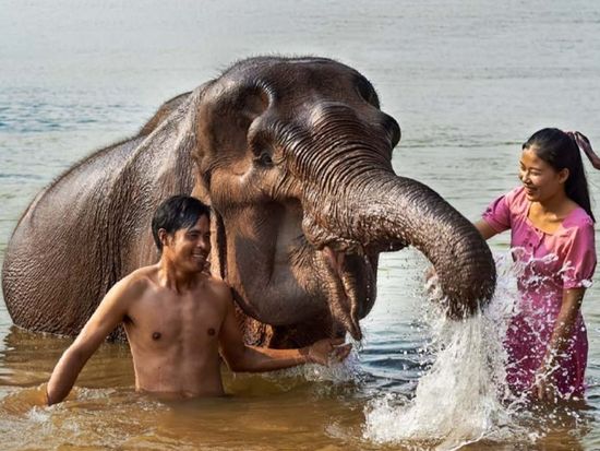 elephant-mekong-deng (1)