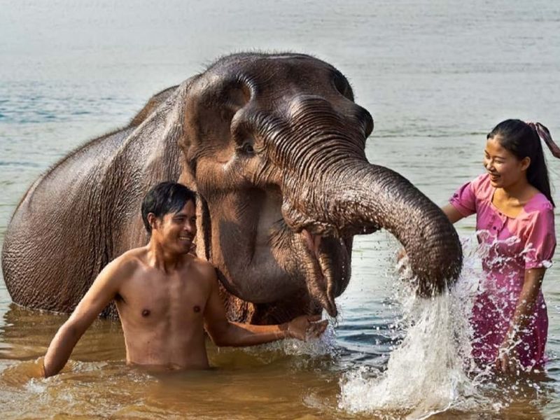 elephant-mekong-deng (1)