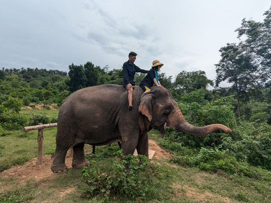 PXL_20240729_065440619