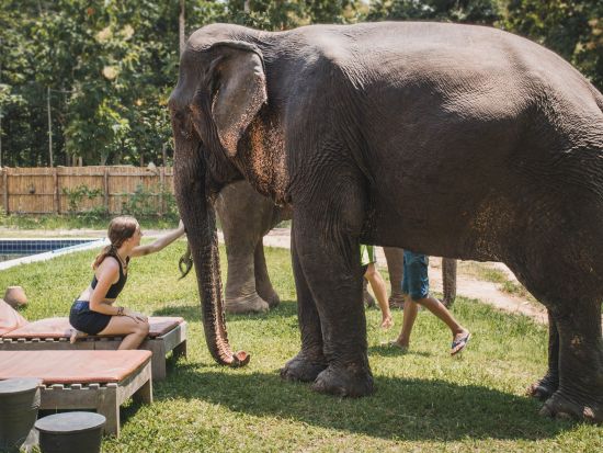 象使い体験半日ツアー　マニファ・エレファントキャンプで象使い入門！ジャングル散歩＆川遊び体験 ＜昼食付き／日本語または英語ガイド／ルアンパバーン発着＞