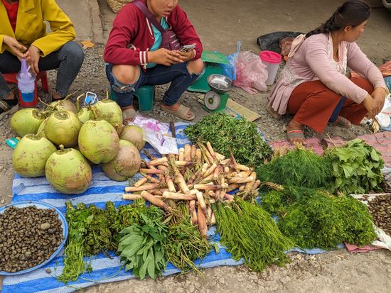 PXL_20240423_091818136