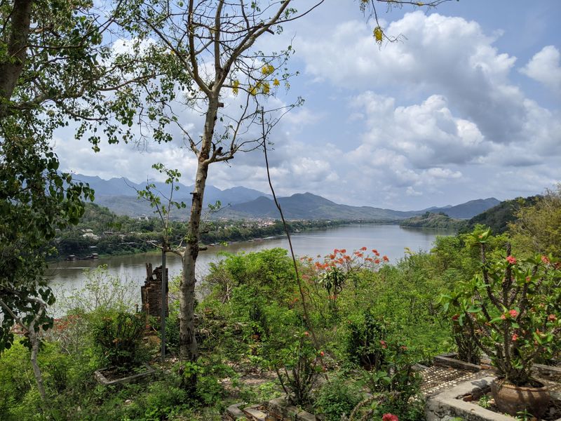 PXL_20210419_035802706