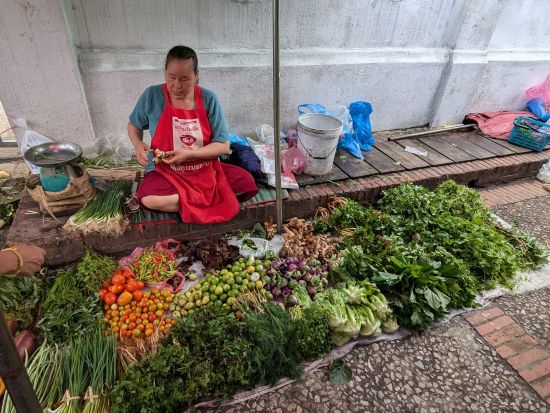 元お坊さんのガイドと巡る世界遺産ルアンパバーン半日観光ツアー　早朝の托鉢＆ワット・シェントーン＆プーシーの丘 ＜日本語または英語ガイド＞