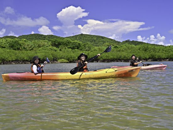【ベストプライス】3島めぐり 西表・由布・竹富島 日帰りツアー  西表島カヌー体験＋水牛車＋選べる竹富島での過ごし方（レンタサイクル他）＜1日／昼食付＞