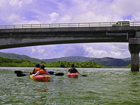 【ベストプライス】2島めぐり 西表・由布 日帰りツアー   西表島ちょっぴりカヌー体験＋水牛車＜約6時間／3歳～／昼食付＞