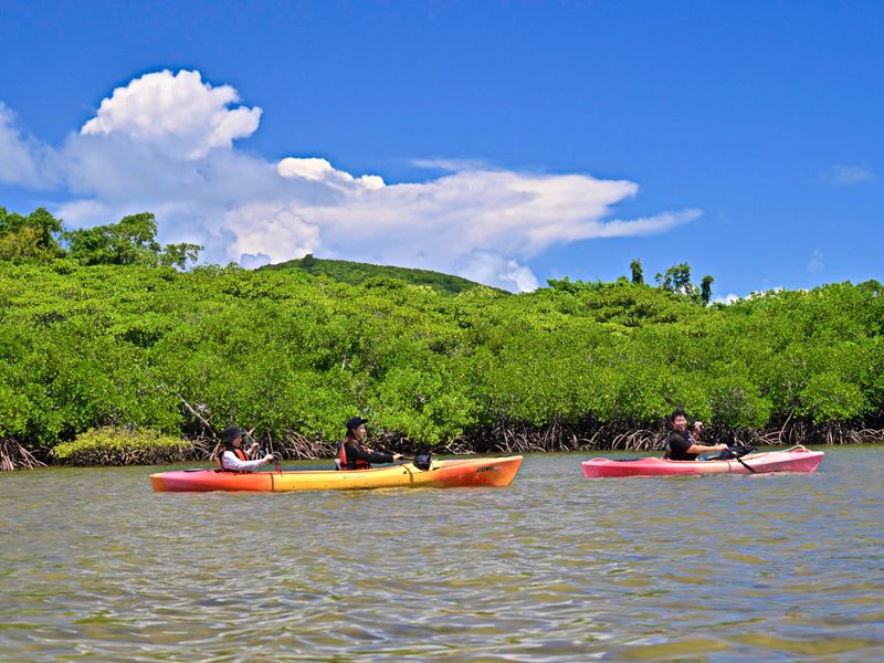 仲間川カヌー_250916 (4)