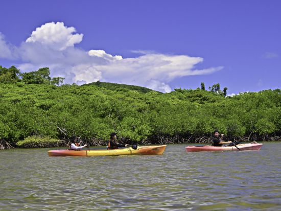 【ベストプライス】2島めぐり 西表・由布 日帰りツアー   西表島ちょっぴりカヌー体験＋水牛車＜約6時間／3歳～／昼食付＞
