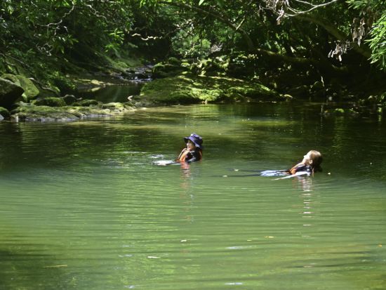 【ベストプライス】2島めぐり 西表・由布 日帰りツアー 西表島ジャングル探検＋水牛車＜約6時間／小学生～／昼食付＞