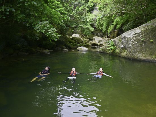 【ベストプライス】3島めぐり 西表・由布・竹富島 日帰りツアー  西表ジャングル探検＋水牛車＋選べる竹富島での過ごし方（レンタサイクル他）＜1日／昼食付＞
