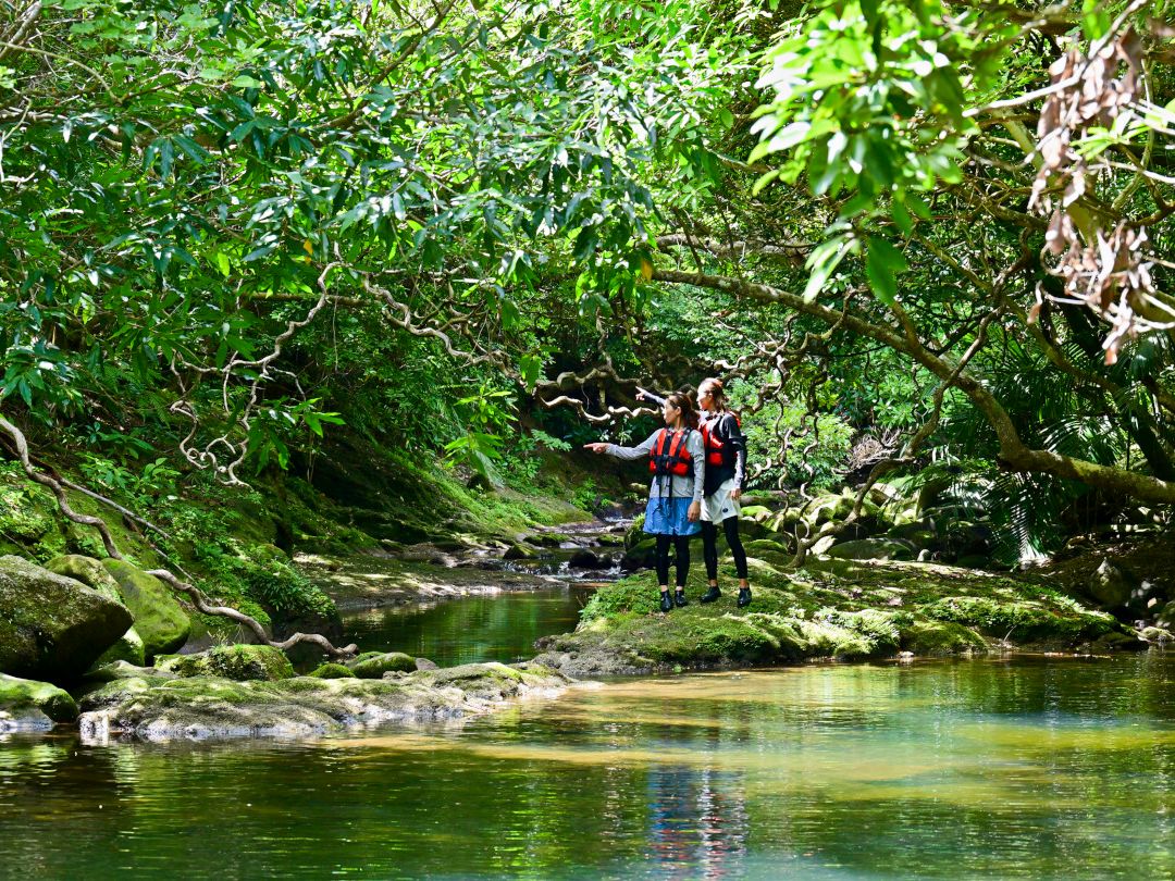 竹富島 | 沖縄 旅行の観光・オプショナルツアー予約 VELTRA（ベルトラ）