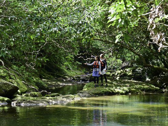 【ベストプライス】3島めぐり 西表・由布・竹富島 日帰りツアー  西表ジャングル探検＋水牛車＋選べる竹富島での過ごし方（レンタサイクル他）＜1日／昼食付＞