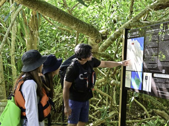 【ベストプライス】2島めぐり 西表・由布 日帰りツアー 西表島ジャングル探検＋水牛車＜約6時間／小学生～／昼食付＞