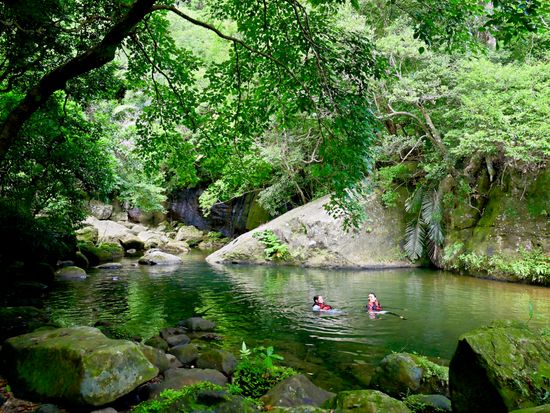 モダマ池_250916 (6)