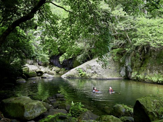 【ベストプライス】2島めぐり 西表・由布 日帰りツアー 西表島ジャングル探検＋水牛車＜約6時間／小学生～／昼食付＞