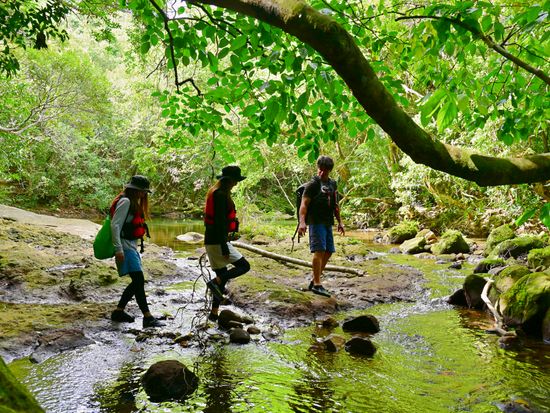 モダマ池_250916 (4)