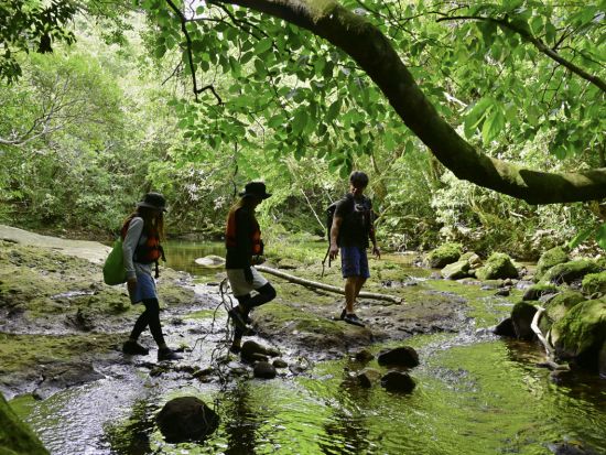 【ベストプライス】3島めぐり 西表・由布・竹富島 日帰りツアー  西表ジャングル探検＋水牛車＋選べる竹富島での過ごし方（レンタサイクル他）＜1日／昼食付＞
