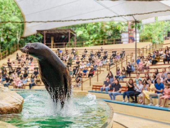 シンガポール動物園　入場チケット事前予約　＊即予約確定